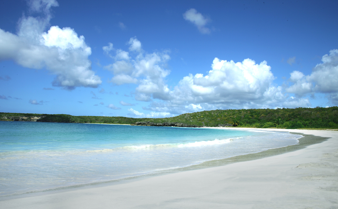 Tranquil beach stretched on flour white sand looking over green island