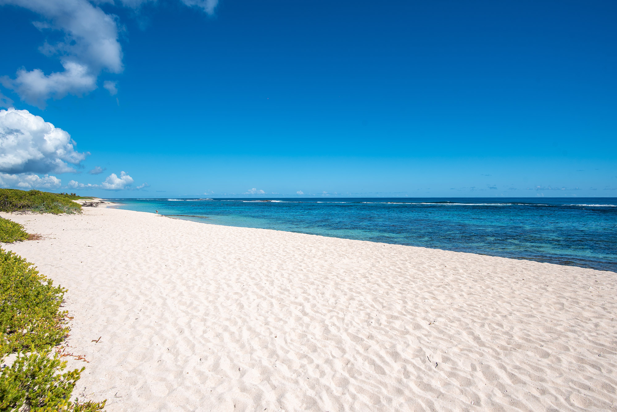 Stretch of empty white sand beach on a sunny day