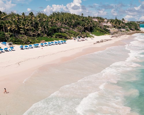 Deckchairs lined up on a tropical white sand beach