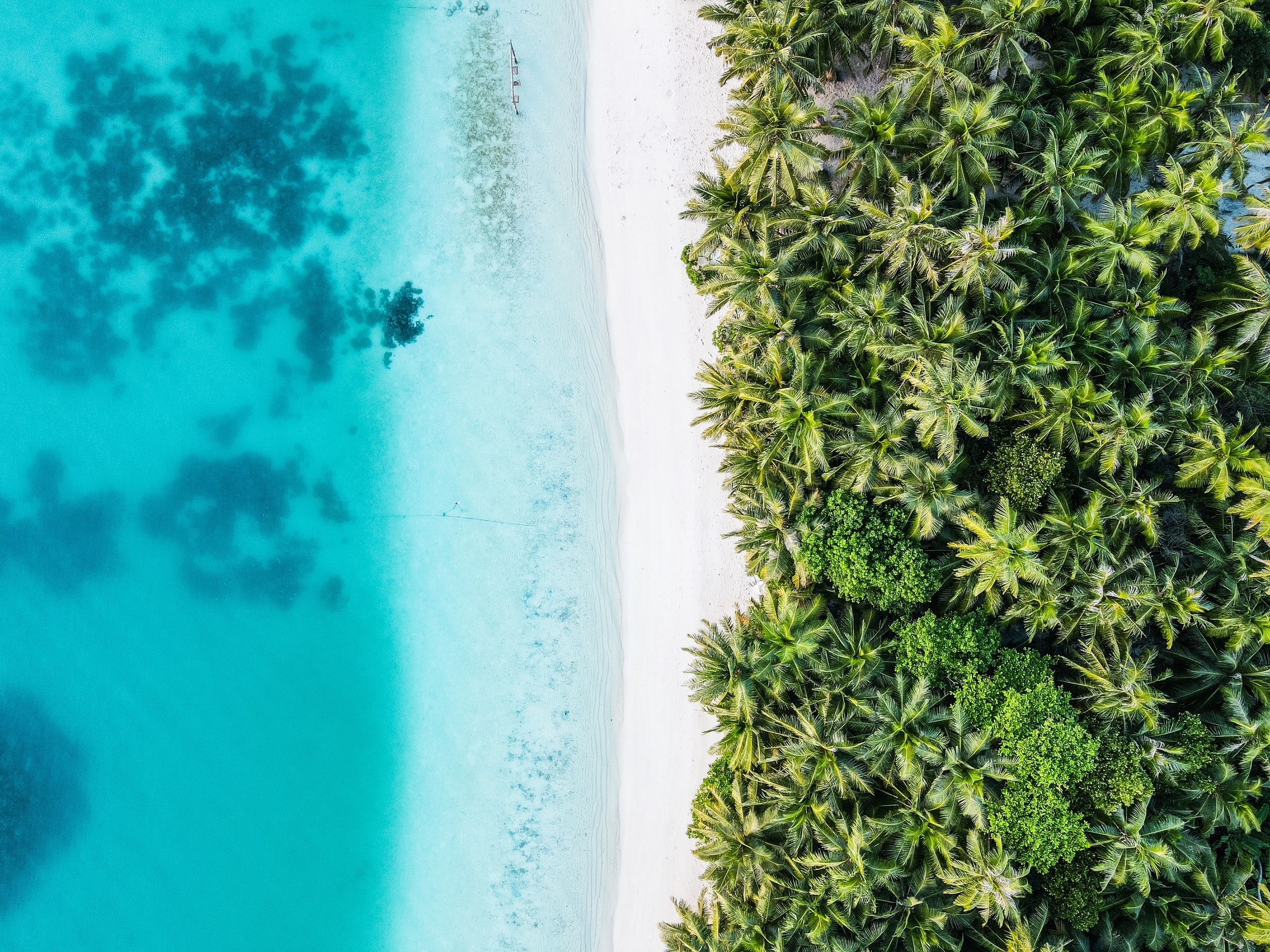 Aerial shot of white sand edged between turquoise water and mangroves