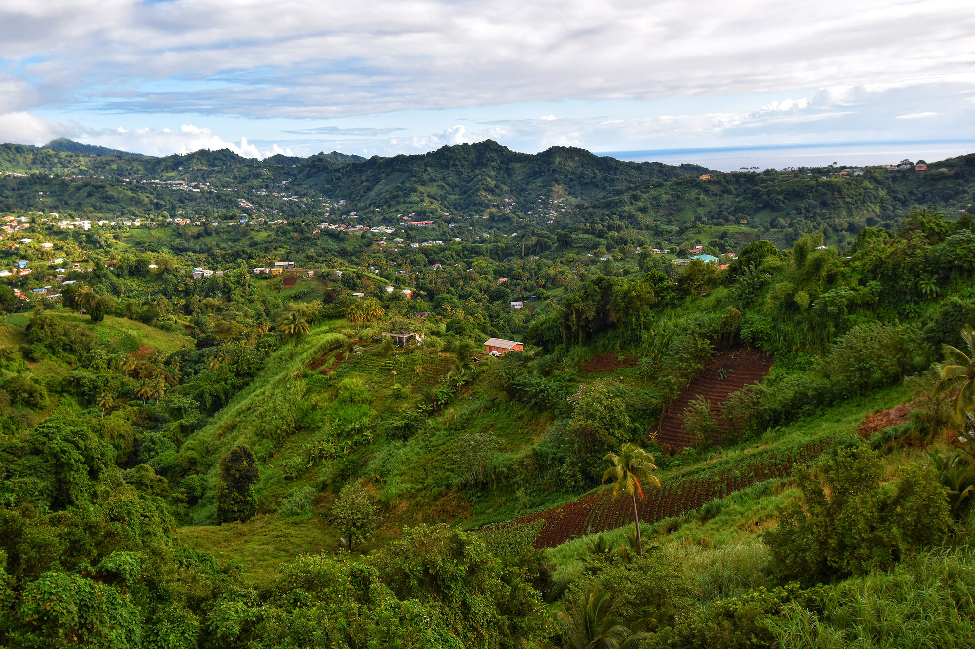  View of the green valley from Belmont Lookout 