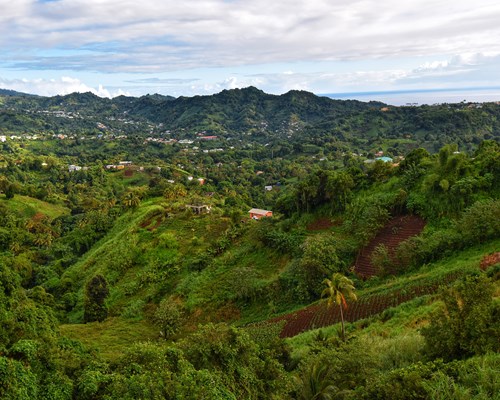 View of the green valley from Belmont Lookout