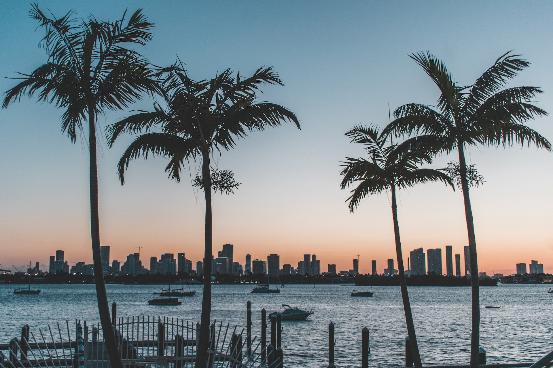 Miami beach with palm trees silhouetted by sunset