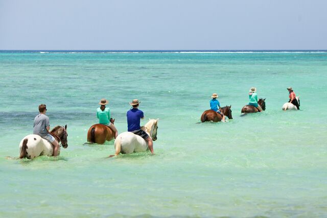Group of people horse riding in turquoise ocean - Cayman Islands