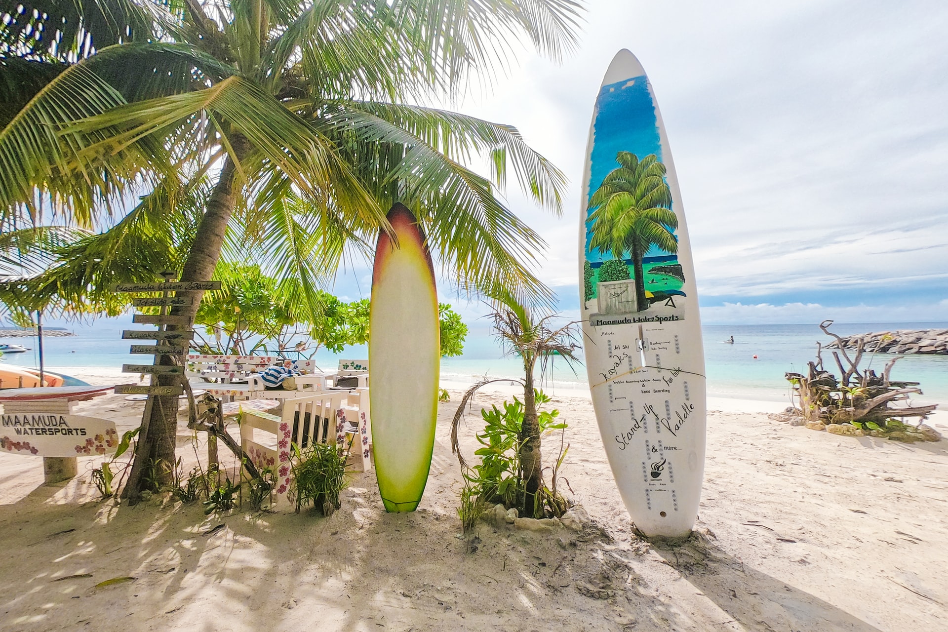 Chairs and surfboard signs next to a palm tree on a white sand beach