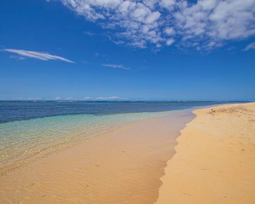 Wide golden sand stretch of beach
