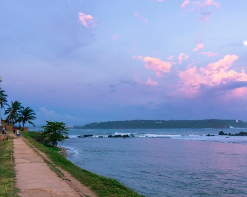 A white lighthouse between a rough sea and gardens with purple sunset