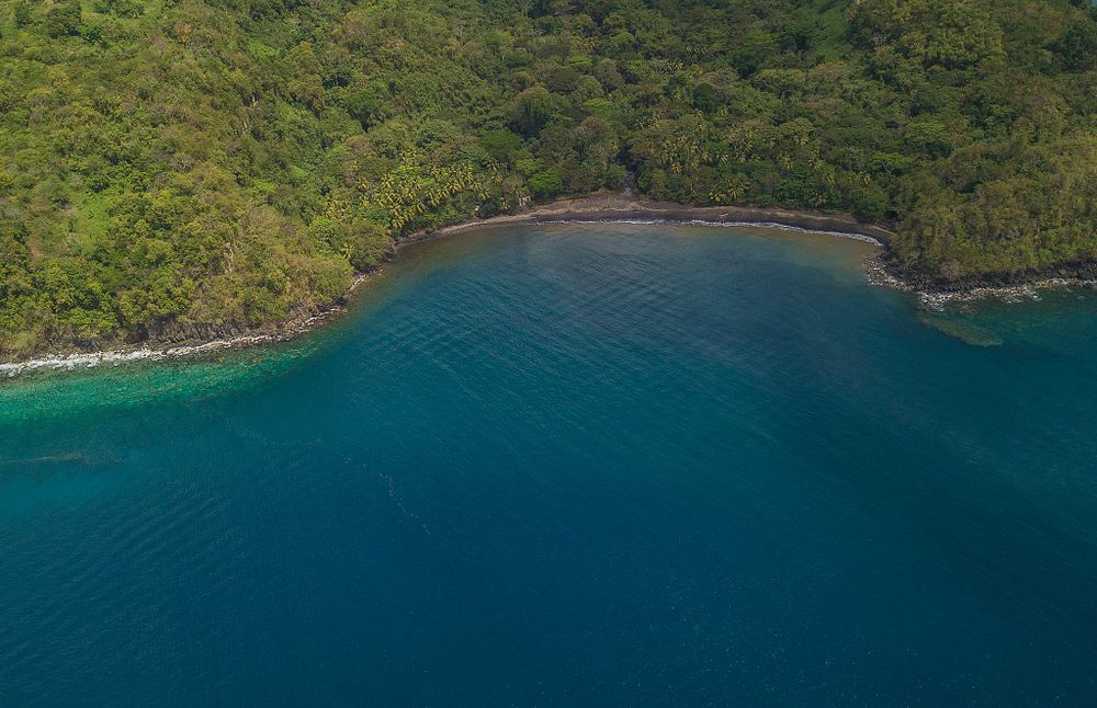 Aerial shot of a coastline with a narrow dark sand beach backed by dense tropical forest 