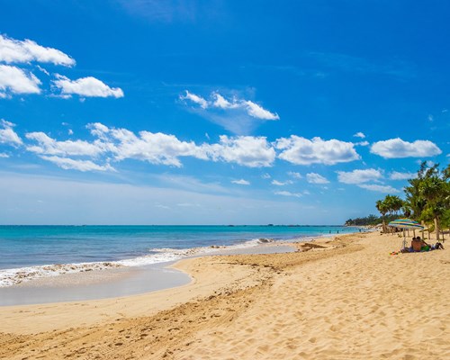 Two people sitting under a parasol on a golden sand tropical beach