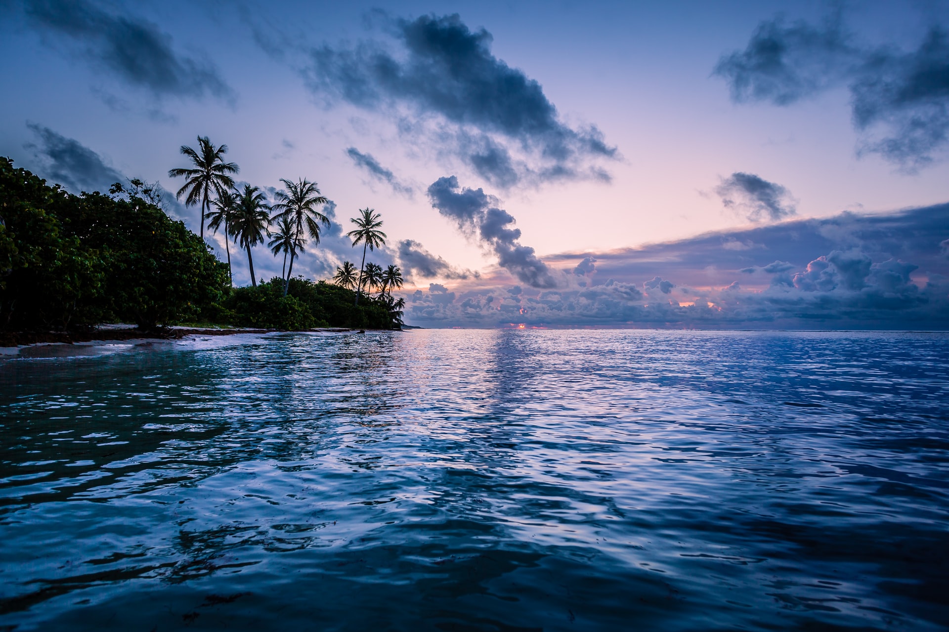 Purple sunrise over the sea next to a tropical beach with tall palm trees