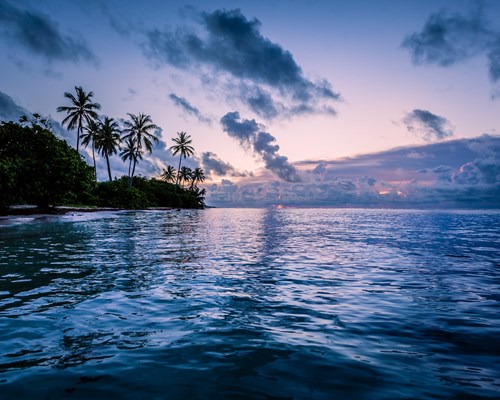 Purple sunrise over the sea next to a tropical beach with tall palm trees