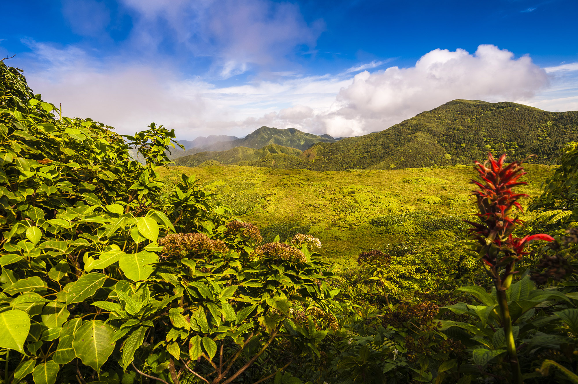 Lush green mountainous landscape with La Soufrière volcano peak in background