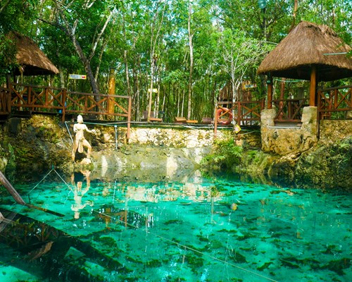 Bright green pool of clear water sunken into the ground in the middle of a jungle
