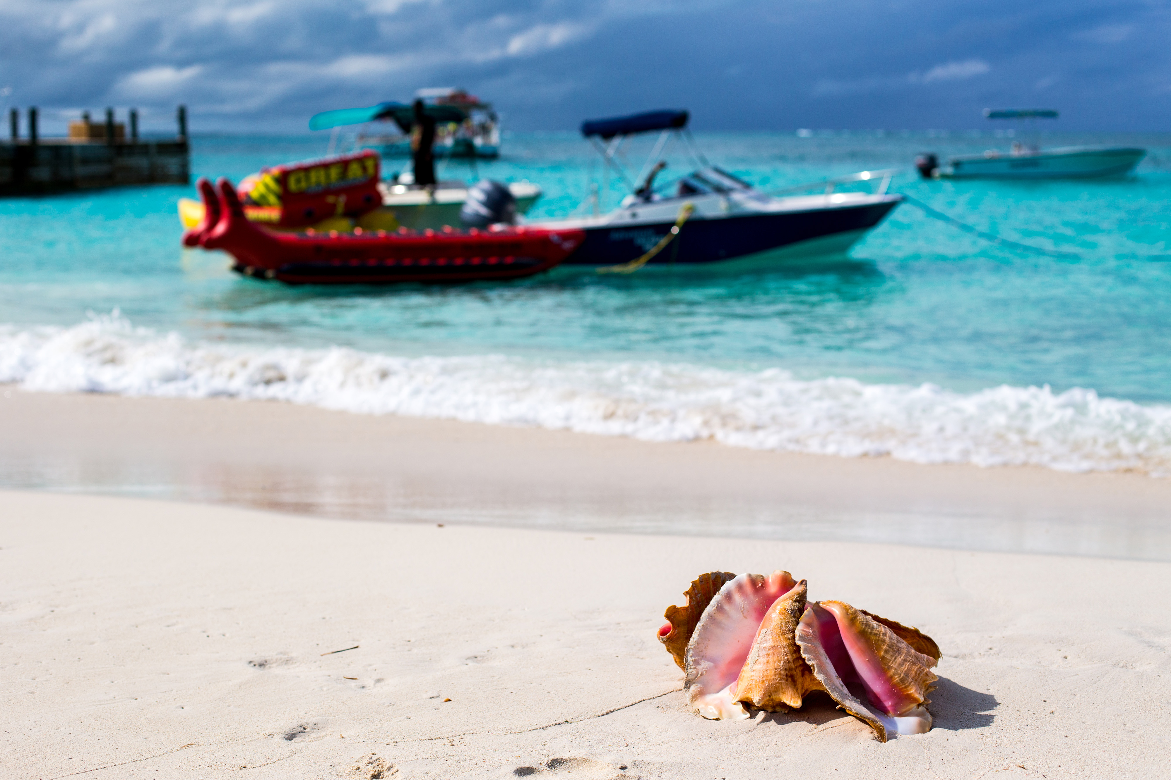 2 conch shells on a white sand tropical beach