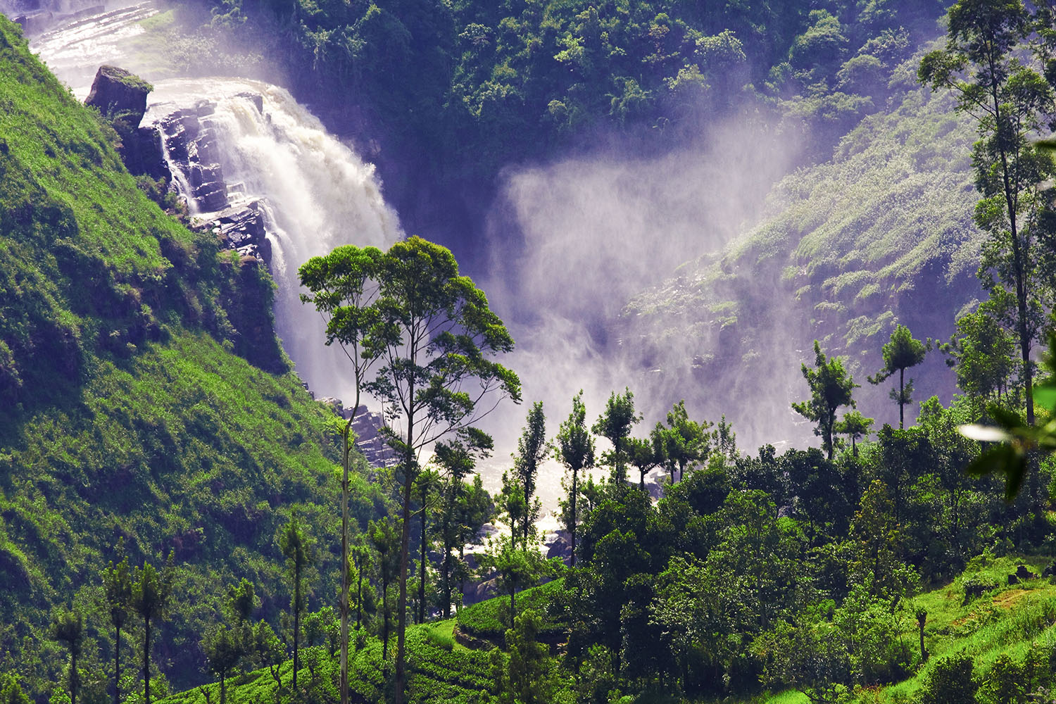 Waterfall In Rainforest Sri Lanka