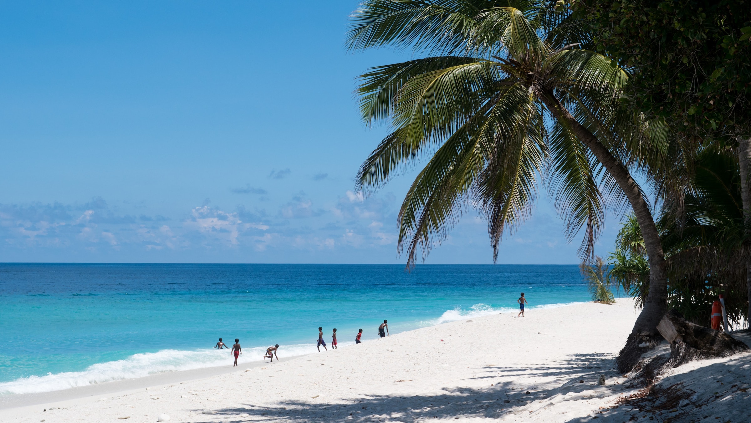 A white sands beach with a palm tree on the right