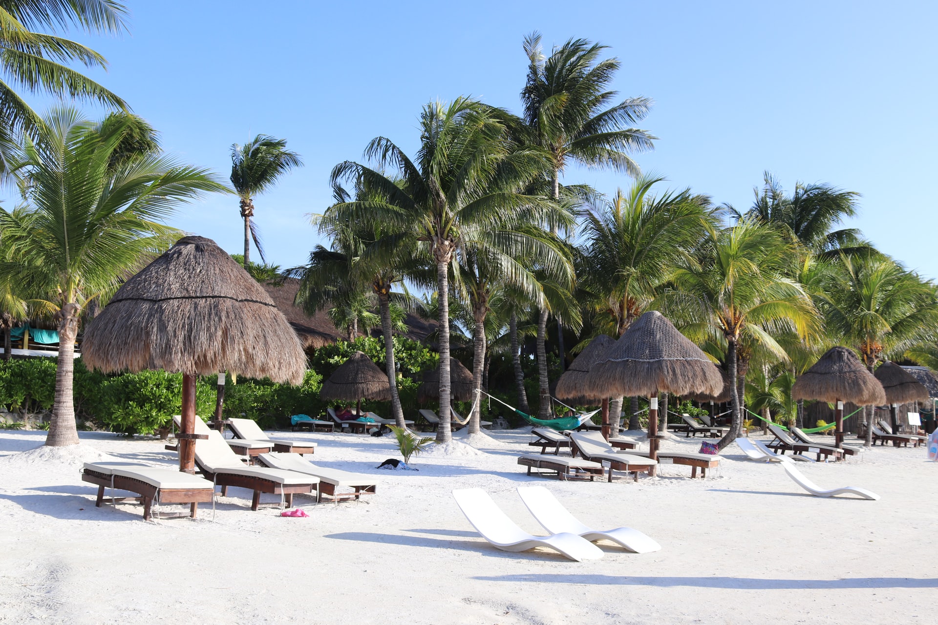Sun beds and straw parasols dotted along a tropical white sand beach with palms in background