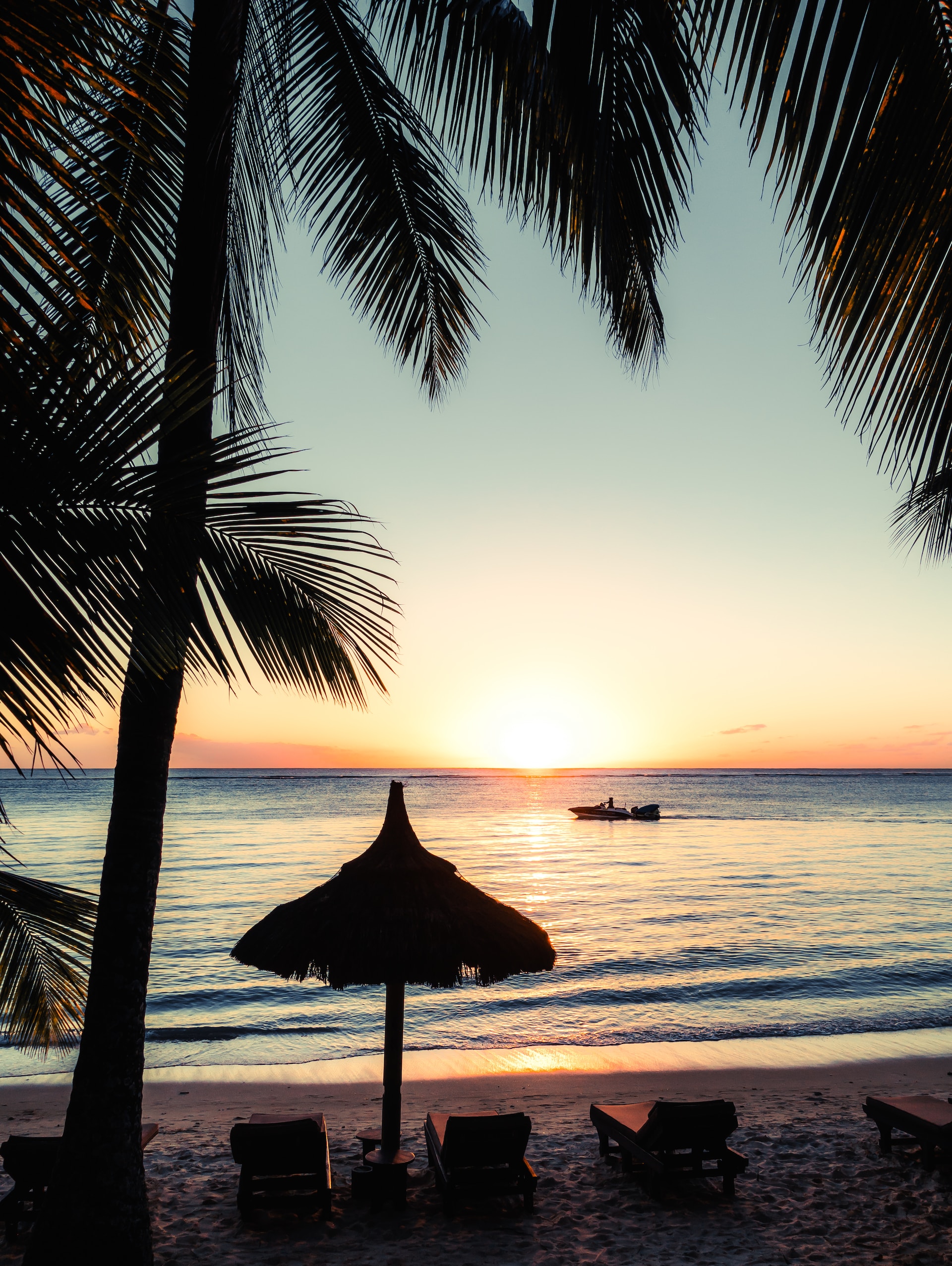 A beach at sunset with a tall palm tree