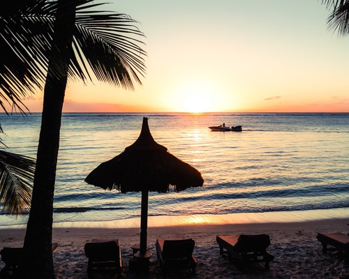 A beach at sunset with a tall palm tree