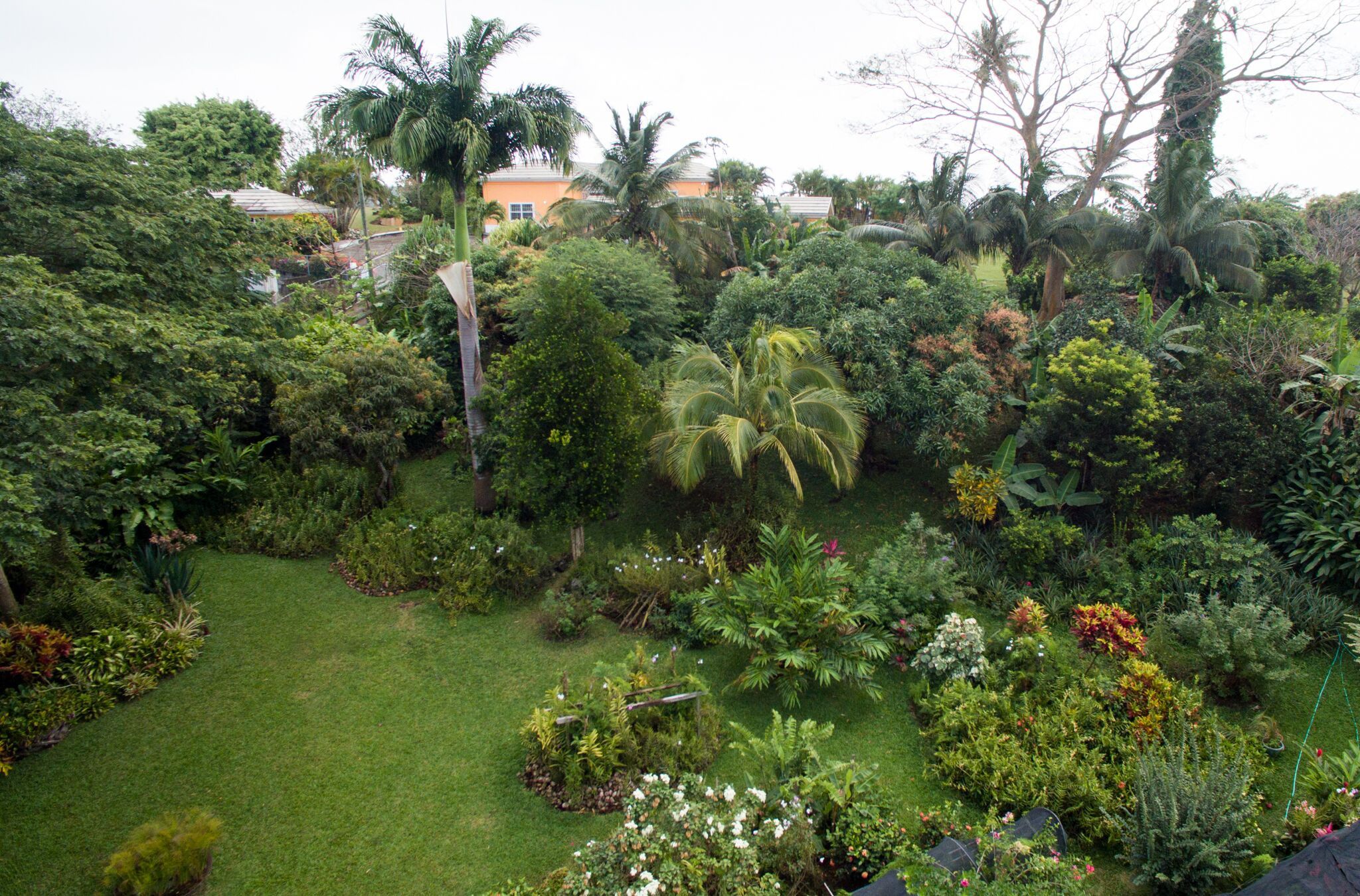 Aerial with of the beautiful gardens at Smithys Garden