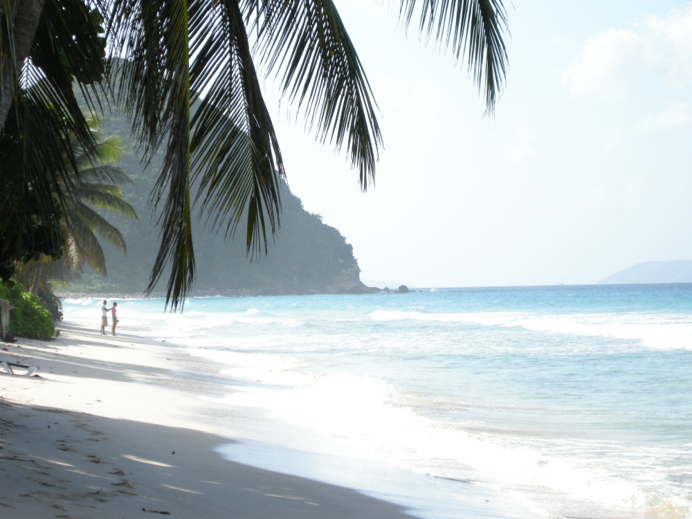Couple alone on beach with hanging palm tree and mountain in background - Long Bay, Tortola 