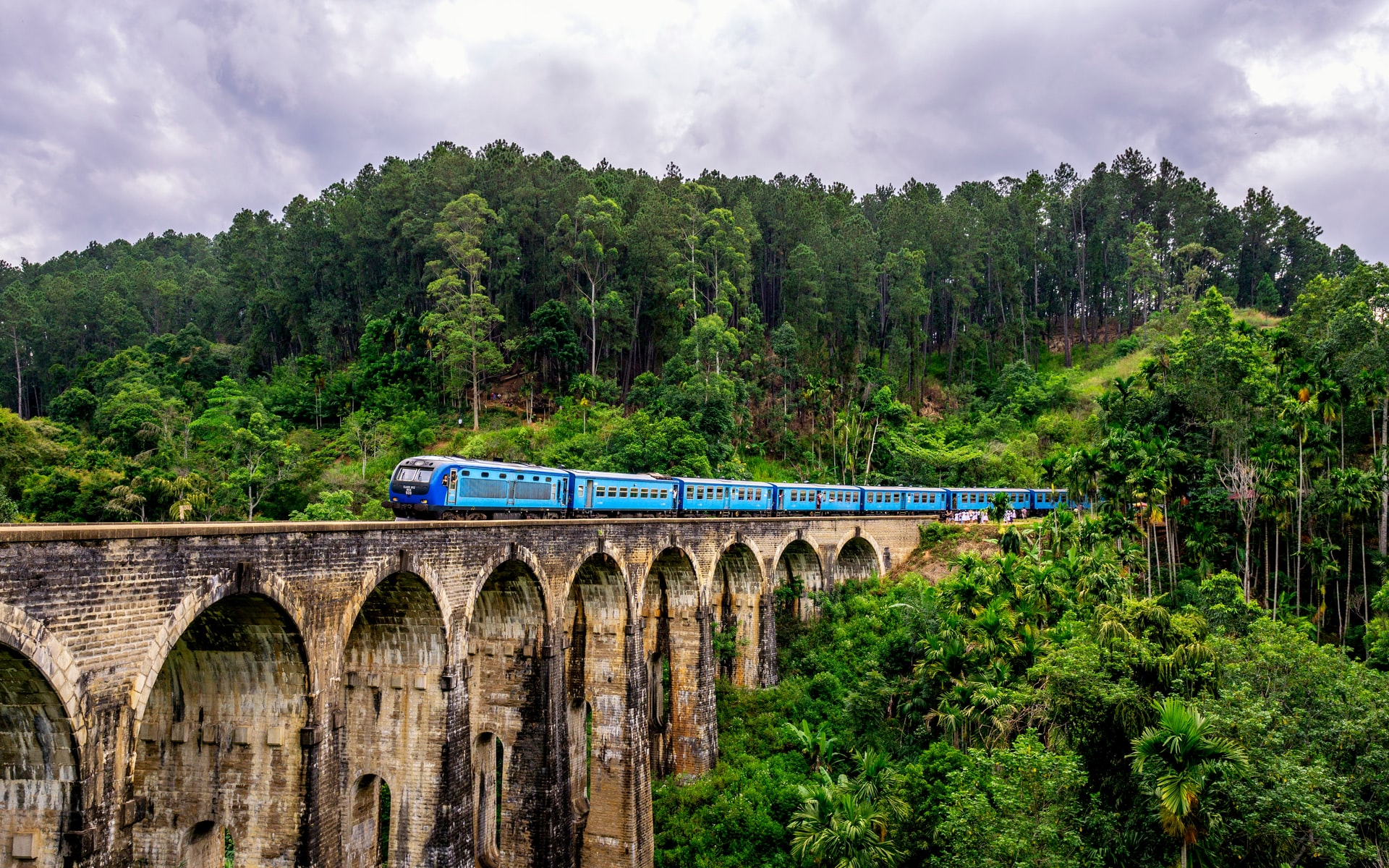 Blue train moving over a tall stone ridge through a rainforest 
