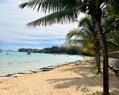 Curved Narrow Golden Sand Beach Lined By Palm Trees