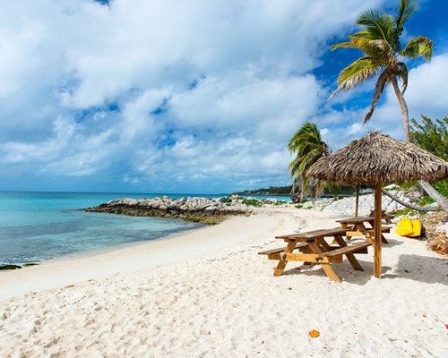 Wooden benches on a beautiful tropical beach