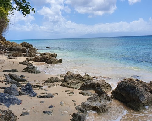 Small rocky beach in Guadeloupe