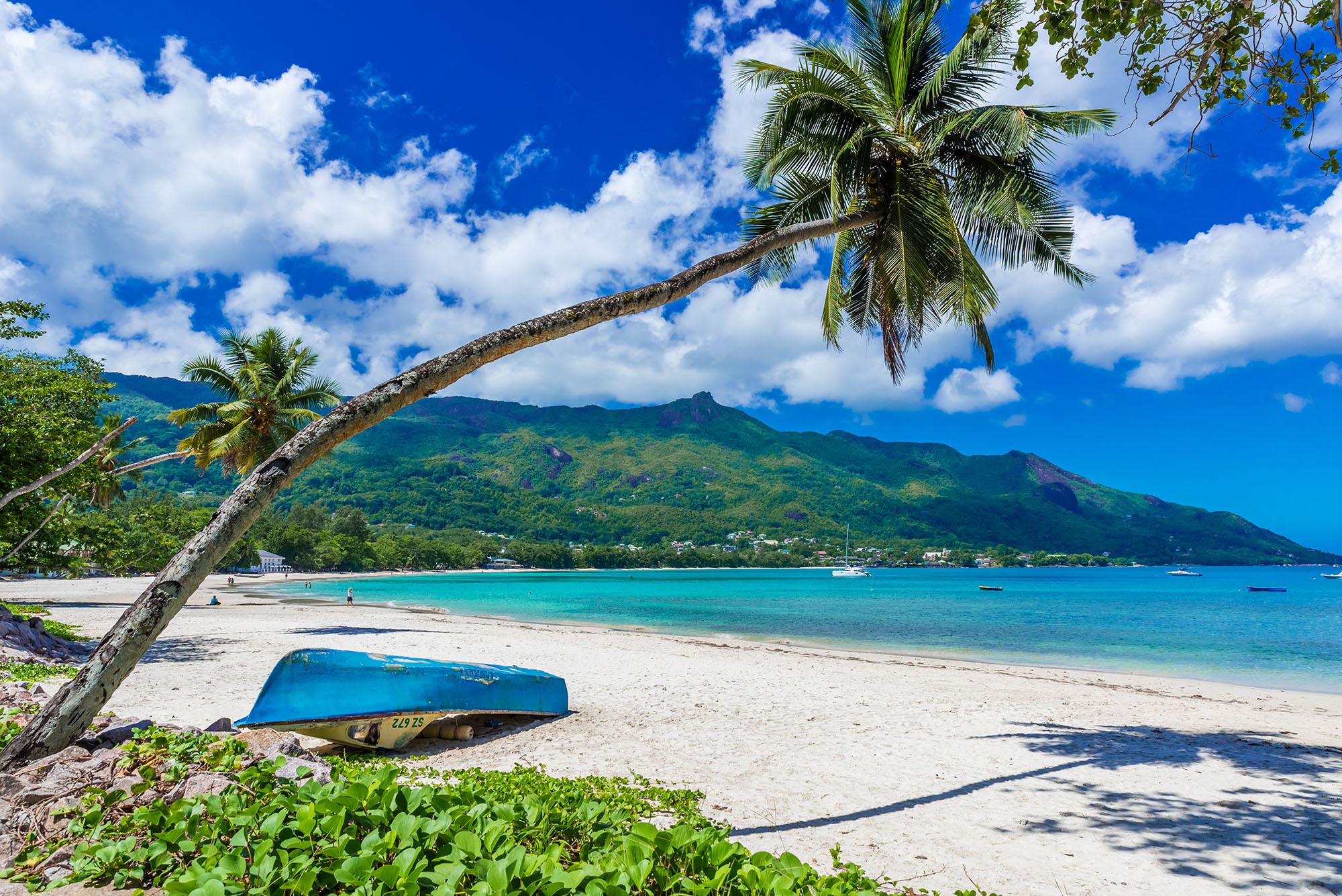 Small overturned blue boat on a curved white sand beach backed by forests 