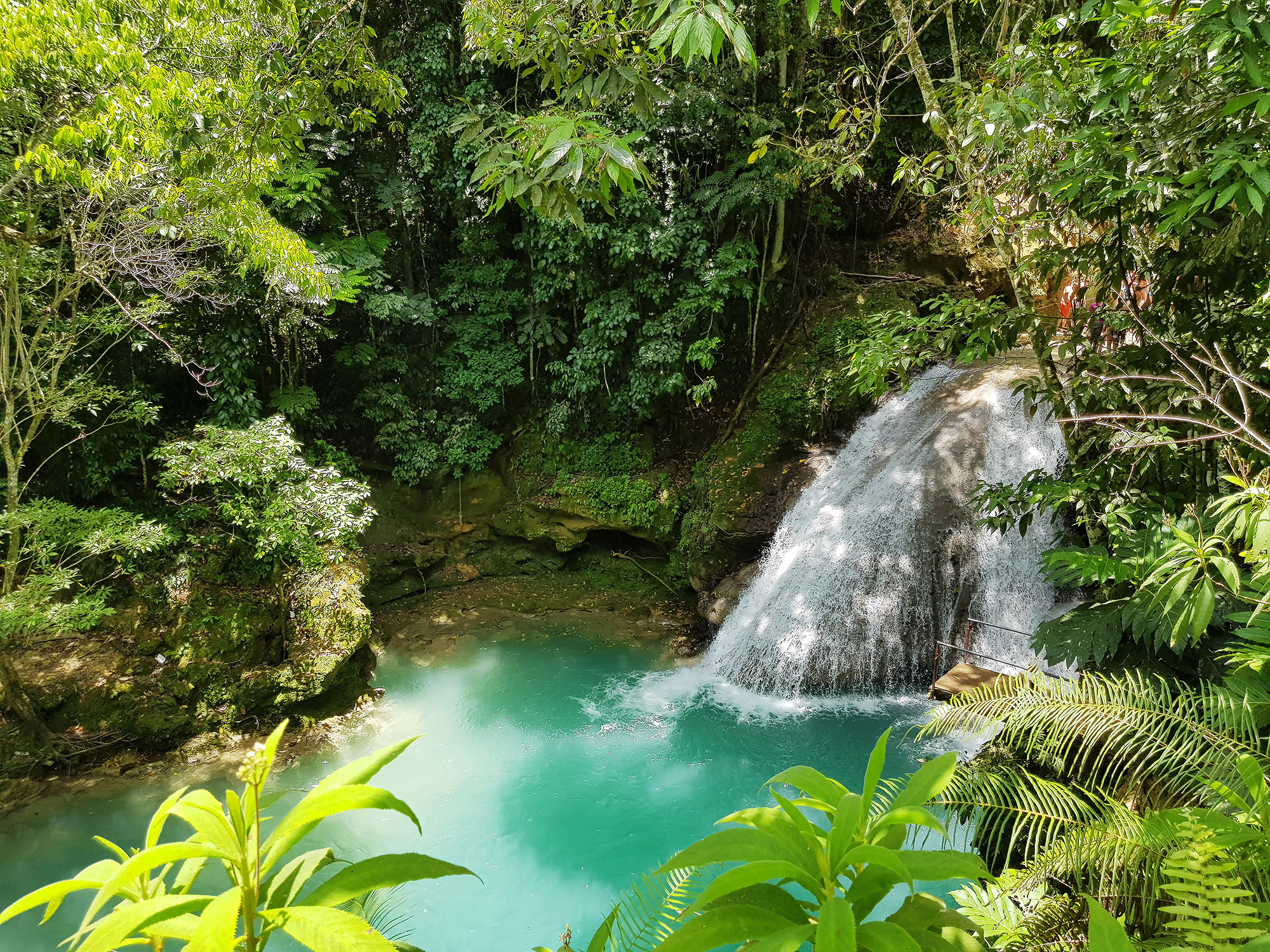  Bright turquoise pool of water in the middle of a jungle 