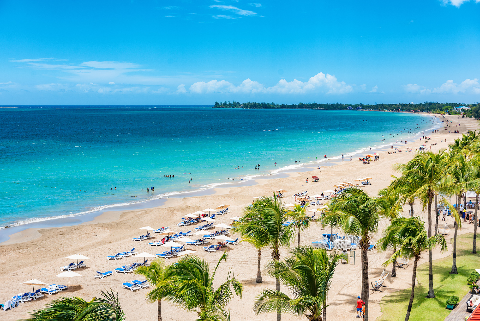 Sun loungers laid out on a tropical beach on a sunny day