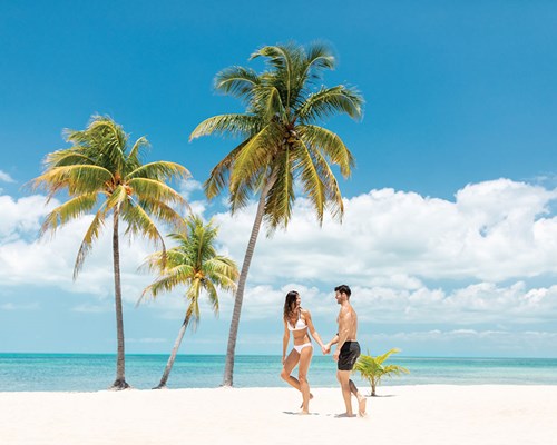 Young couple holding hands on white sand beach next to palm trees