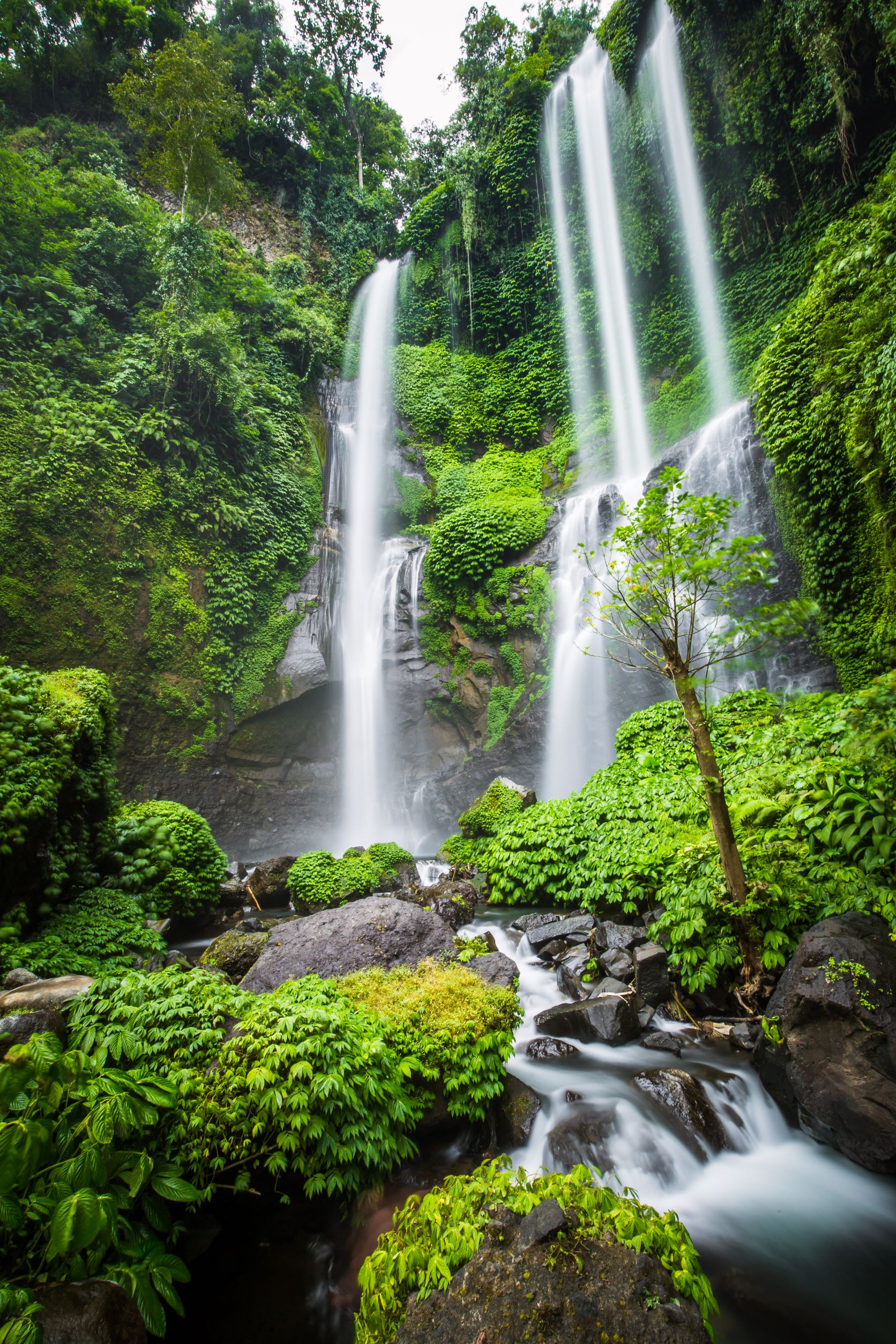 Crystalline waterfalls flowing down in the rainforest