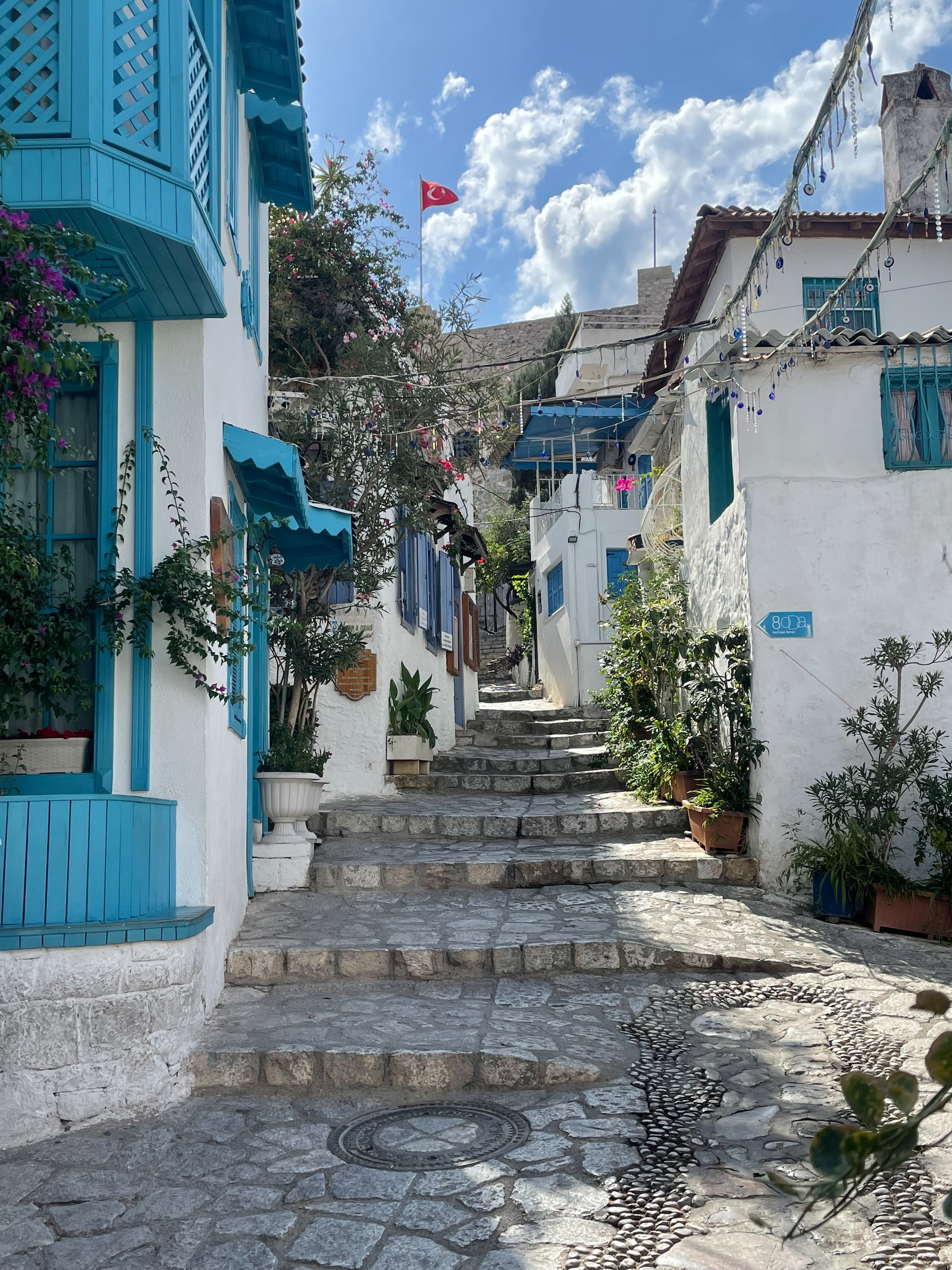 Narrow street of white buildings decorated with flowers and plants