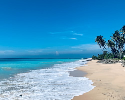 Small waves crashing on a golden sand beach in Sri Lanka
