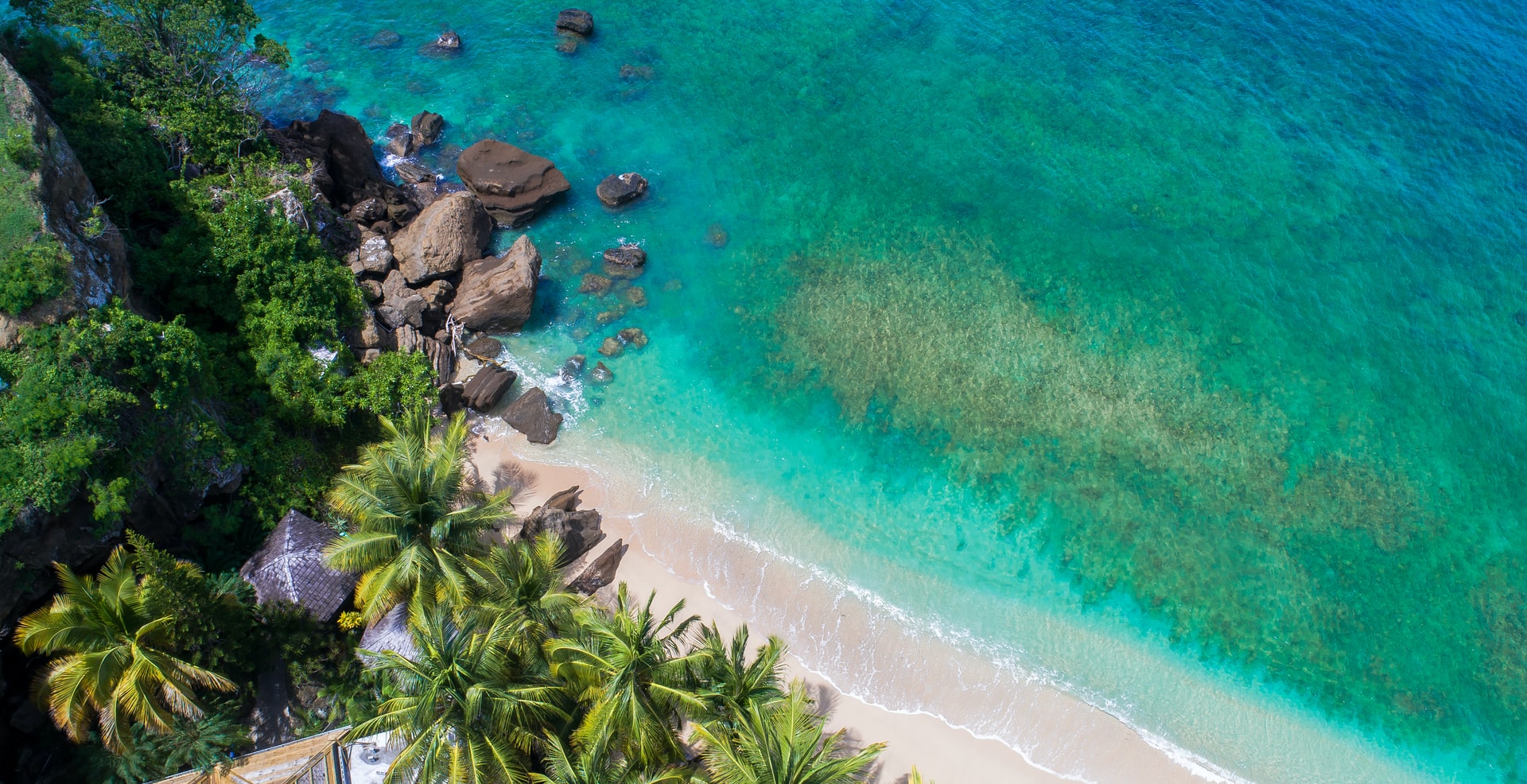 Aerial view of a small tropical beach with palm trees in Grenada