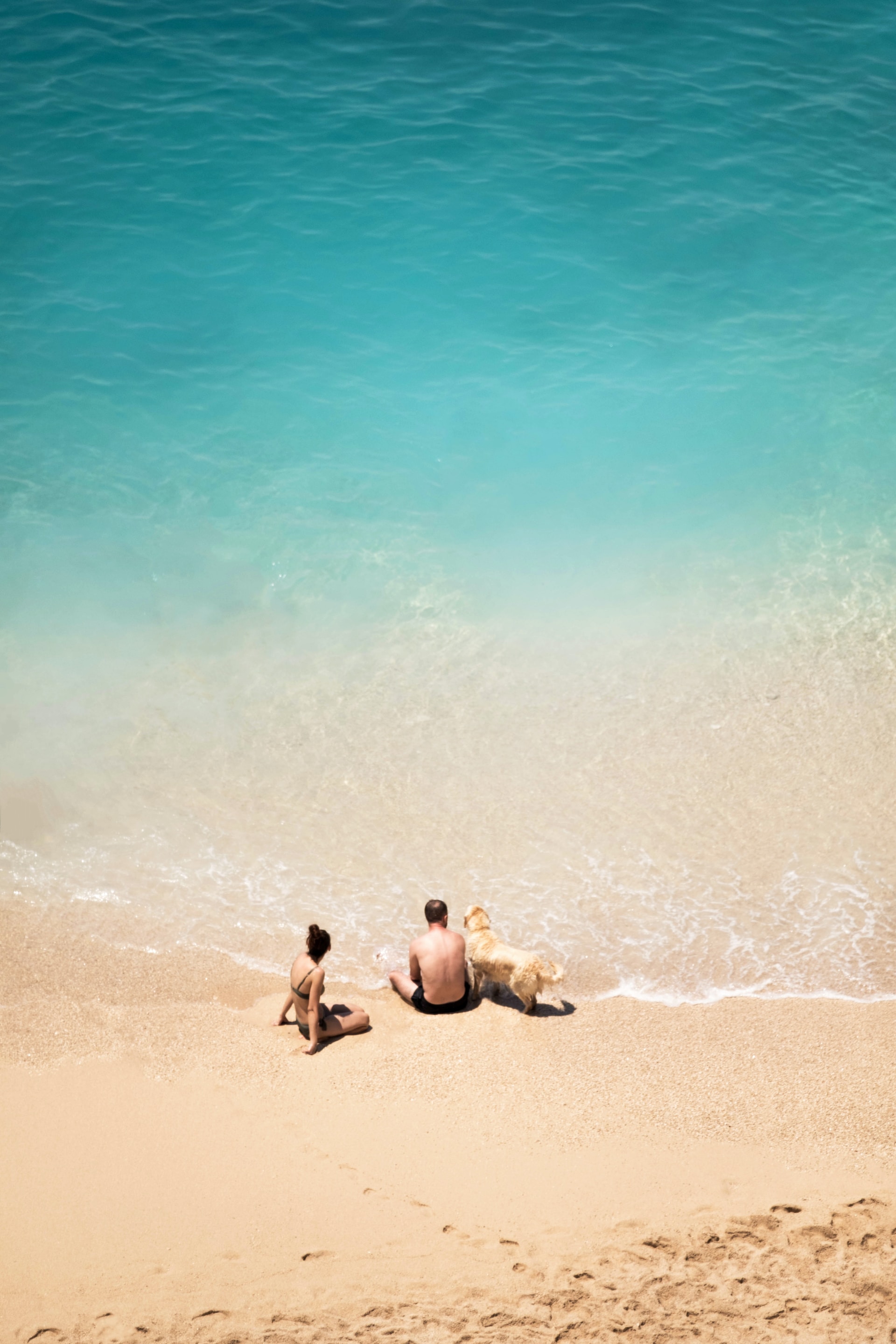 Two people and a dog sitting on pink-hued sands on a turquoise beach
