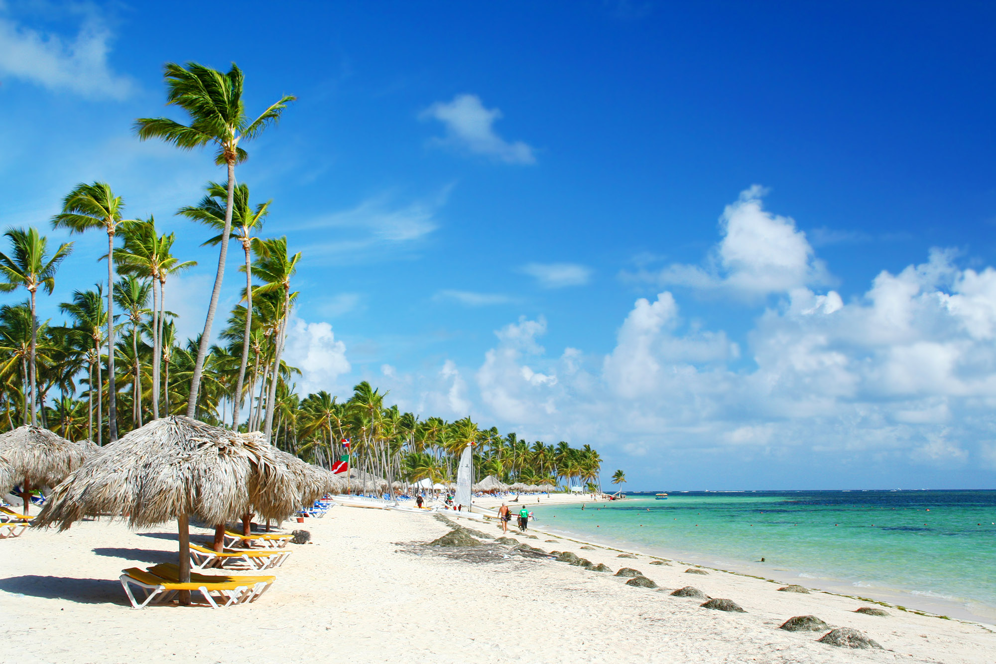 Tropical beach with palm trees and sunshades 