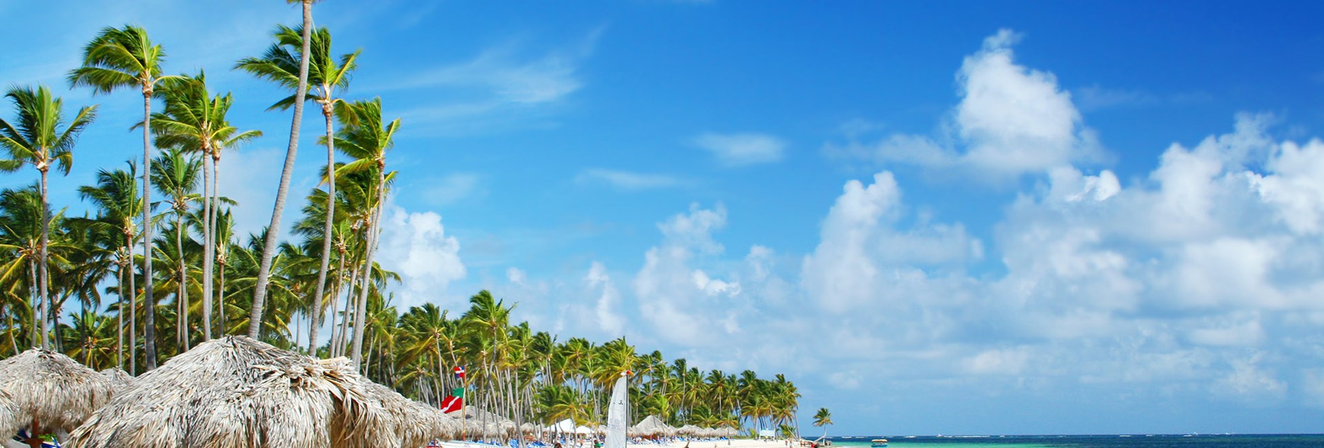 Tropical beach with palm trees and sunshades