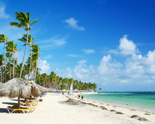 Tropical beach with palm trees and sunshades