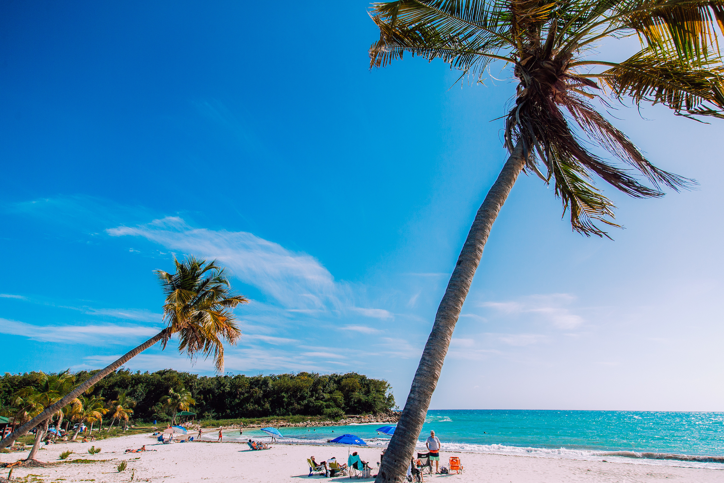 Palm trees swaying to right with blue skies and umbrellas