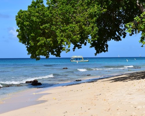 Tour boat near the shores of a tropical beach