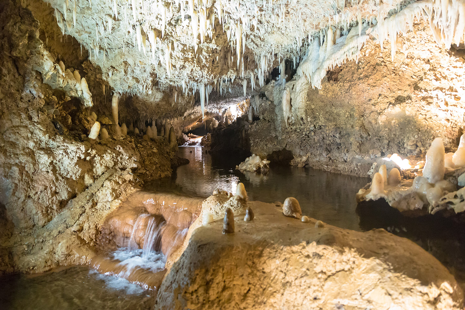 Harrisons Cave Barbados