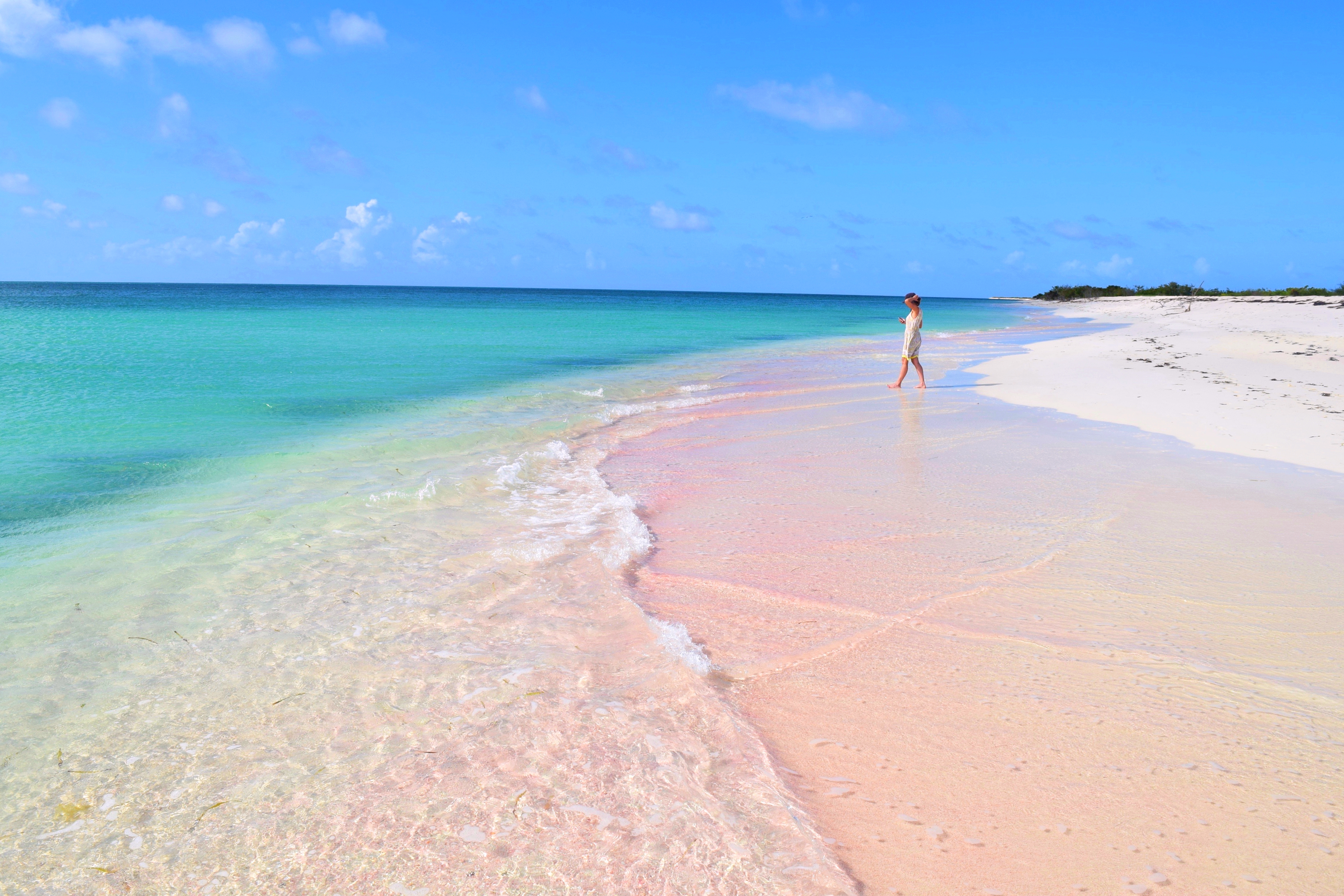 Lady walking along pink sand tropical beach in Barbuda
