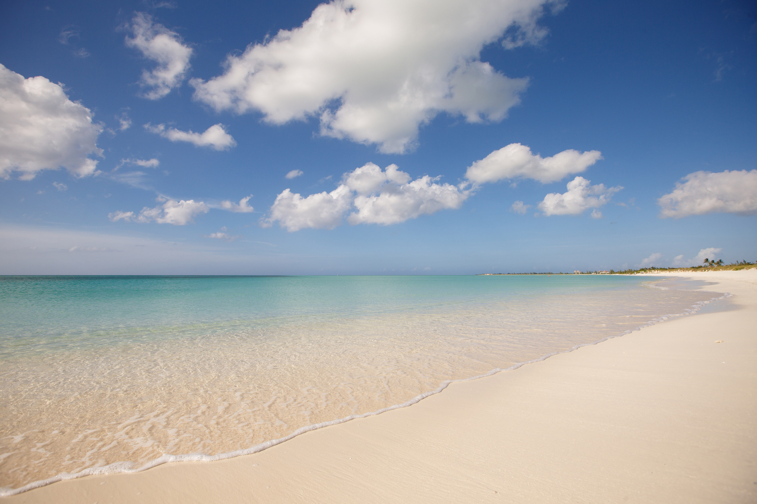 Stretch of white sand tropical beach