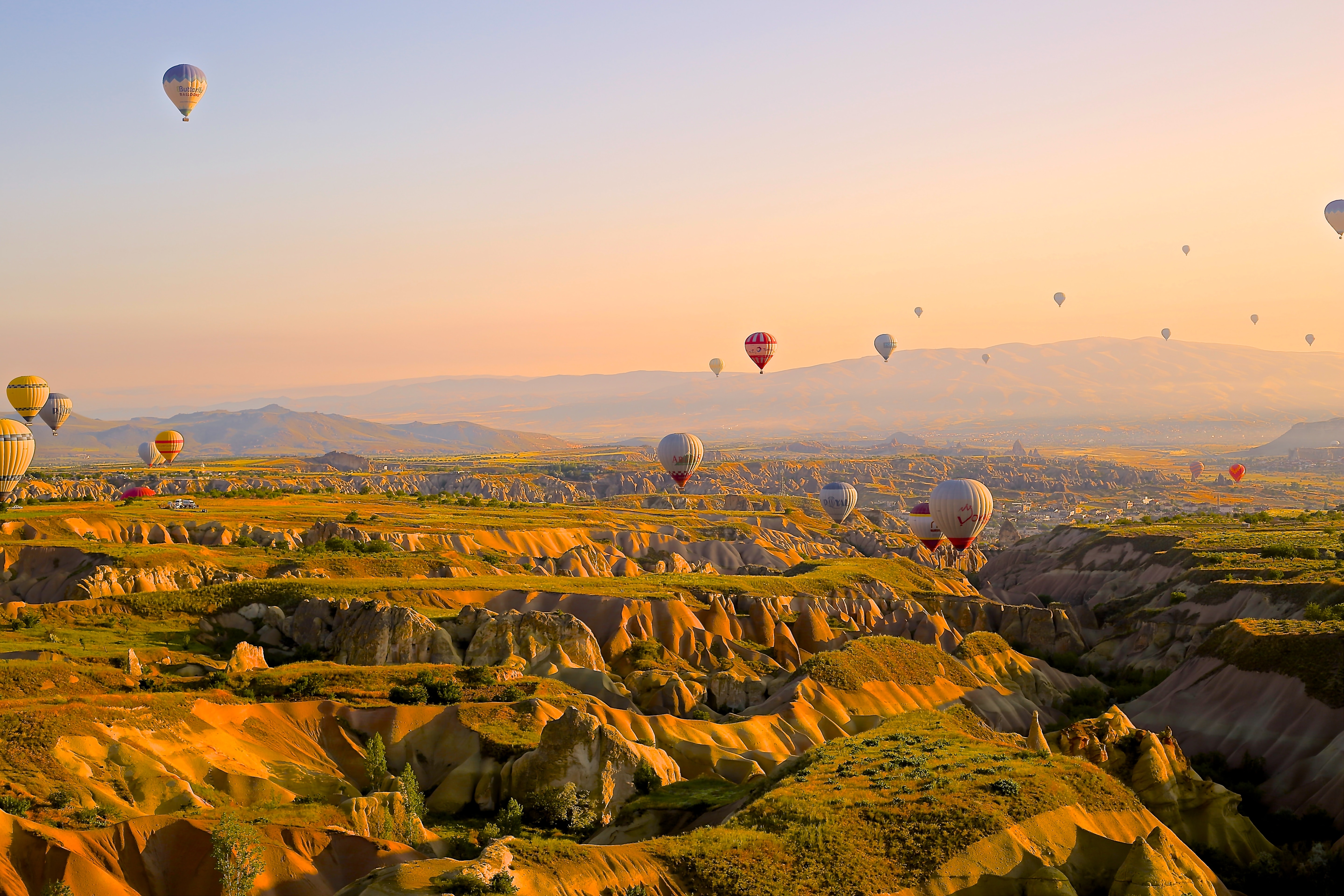 Multiple hot air balloons flying over the countryside at sunset