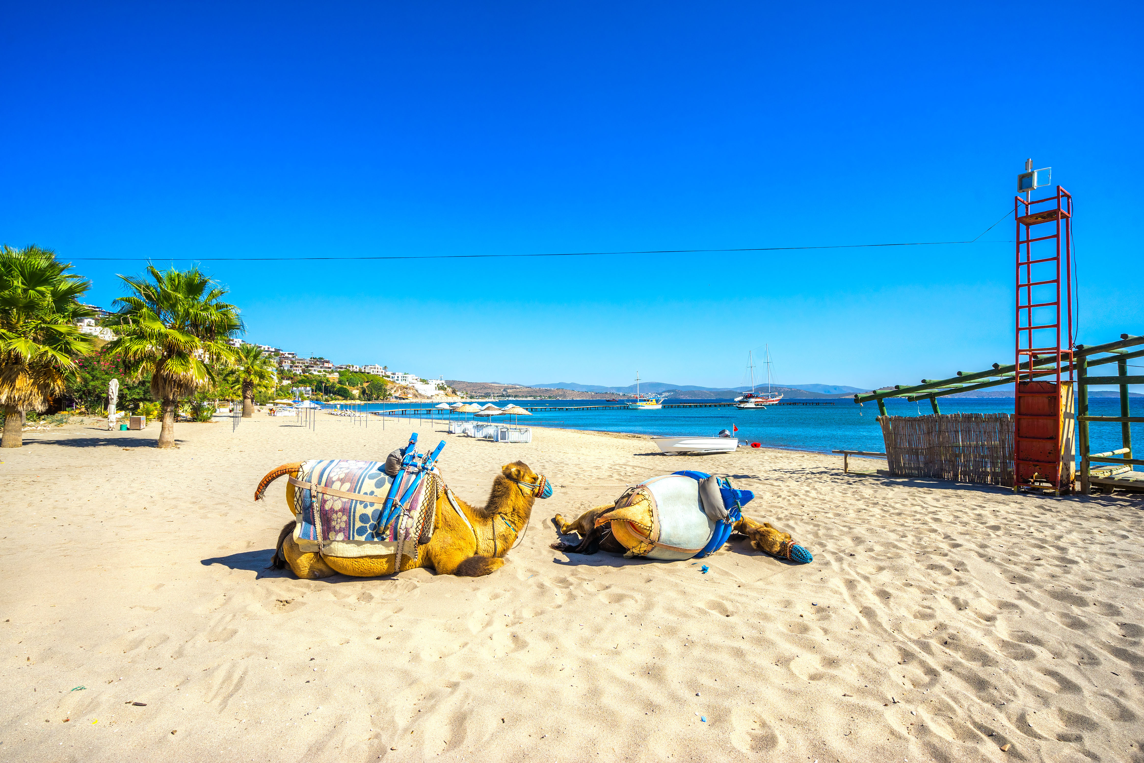 Camel beach at Bitez in Bodrum