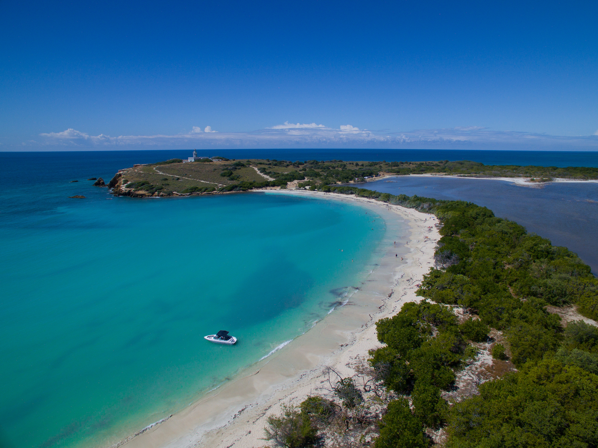 Glassy ocean joining sandy beach and palm trees