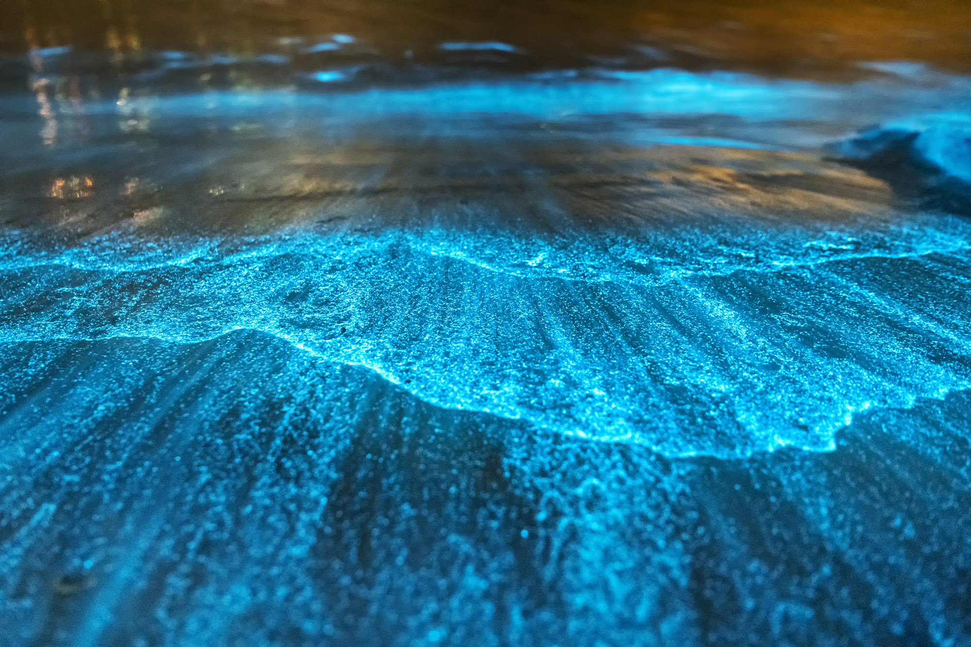 Bio-luminescence waves crashing on the shore